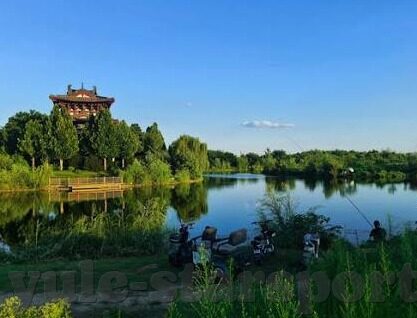 说缘足球比分网-说缘足球比分网，足球迷的线上乐园与信息宝库